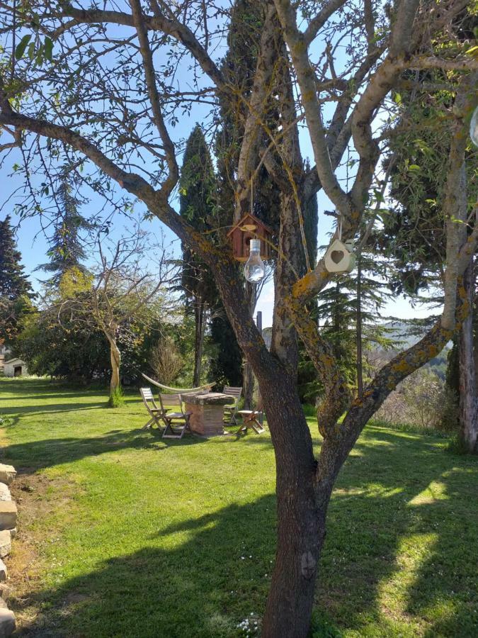 Le Terre Di Caprano Hotel Città di Castello Exterior foto