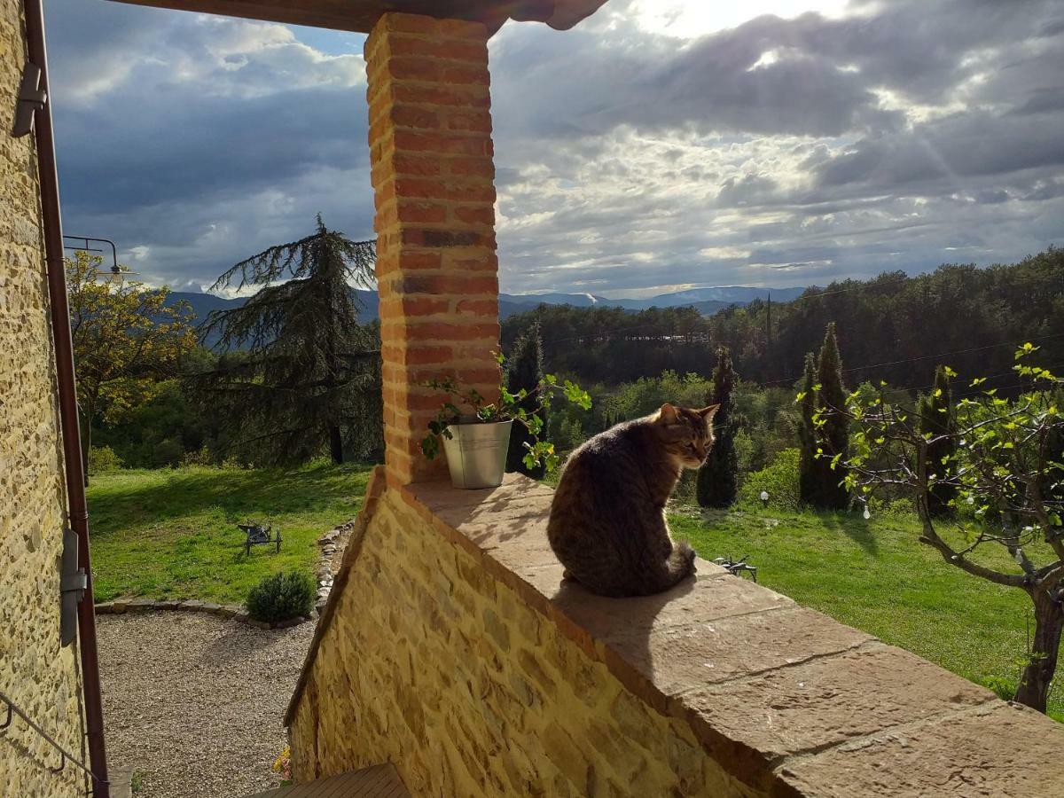 Le Terre Di Caprano Hotel Città di Castello Exterior foto